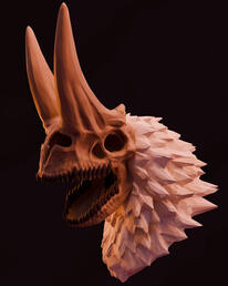 Bust Sculpt Bust Sculpt